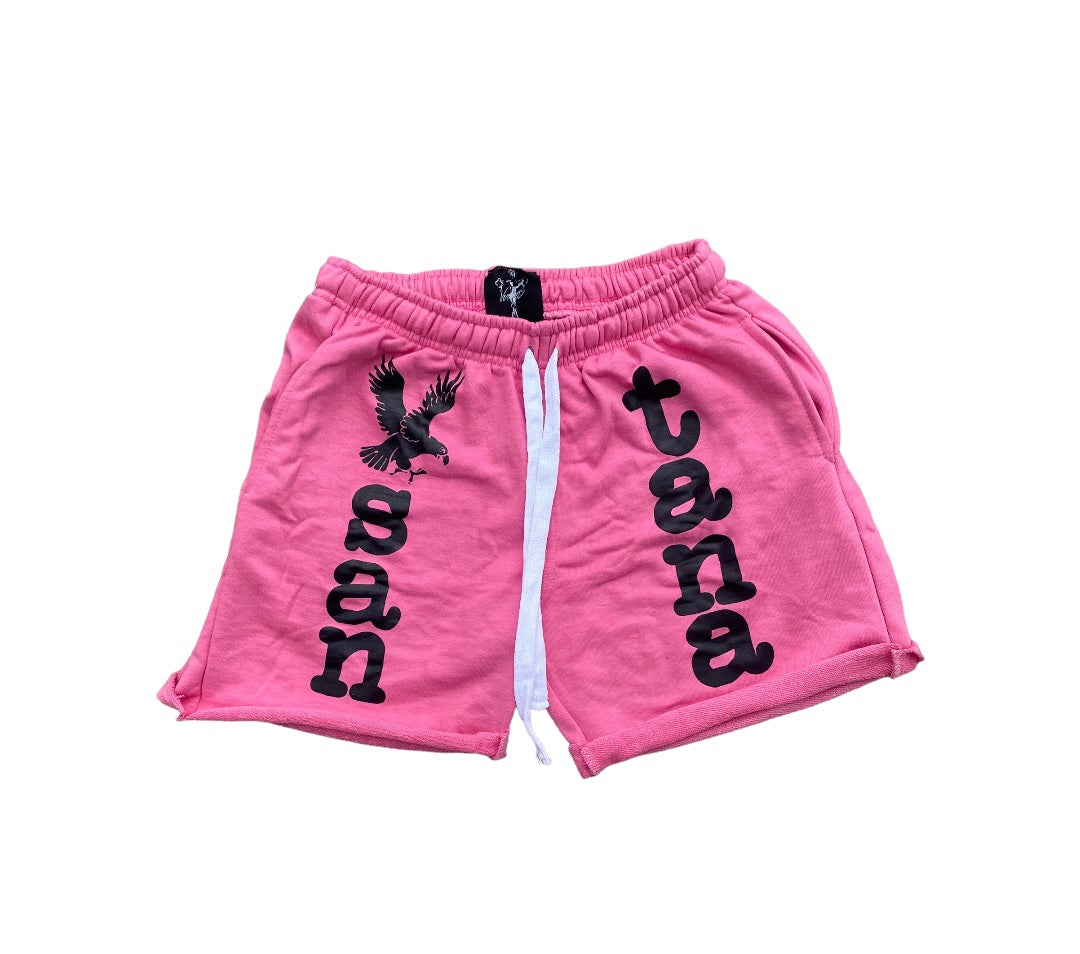 SS23 SHORTS - PINK